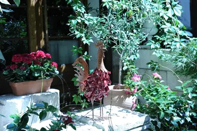 Jardin de l'établissement Hôtel De La Cathédrale