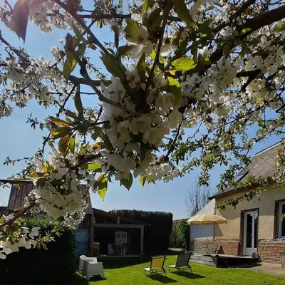 Jardin de l'établissement Chambre d'hote Frettecuisse