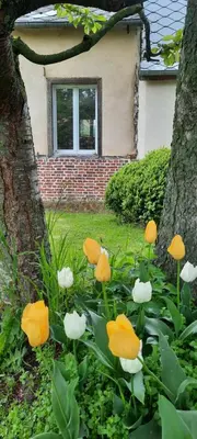 Jardin de l'établissement Chambre d'hote Frettecuisse