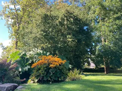 Jardin de l'établissement Chambre Le Notre Le Domaine Des Jardins De Bracquetuit