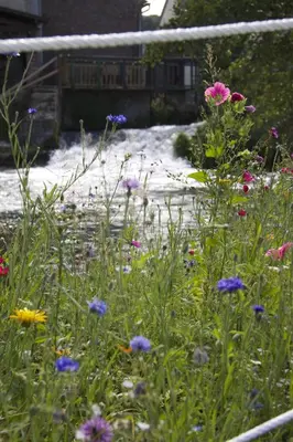 Jardin de l'établissement Logis - Hôtel & Restaurant Moulin Des Forges