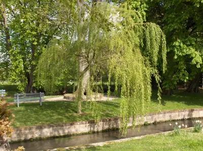 Jardin de l'établissement Logis - Hôtel & Restaurant Moulin Des Forges