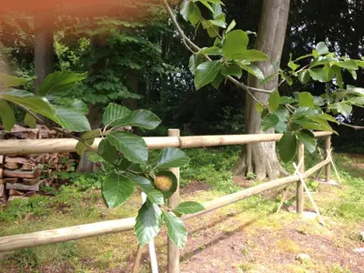 Jardin de l'établissement Le Château de Grèges