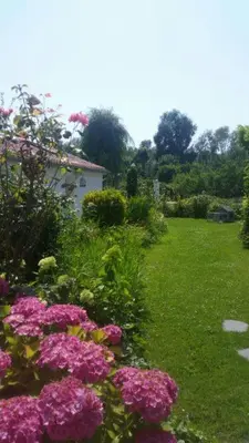 Jardin de l'établissement Les Trois Roses