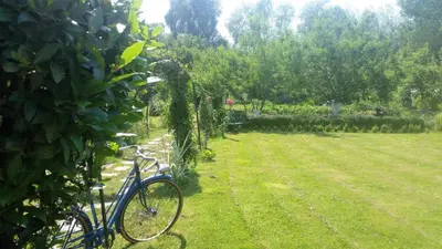 Jardin de l'établissement Les Trois Roses