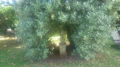 Jardin de l'établissement Le jardin des Écureuils