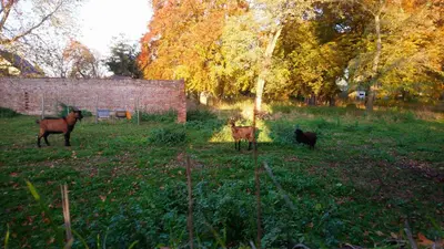 Jardin de l'établissement Le jardin des Écureuils
