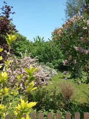 Jardin de l'établissement L'escale Arquaise, la maison au jardin fleuri à 5 min de dieppe 7 jours minimum