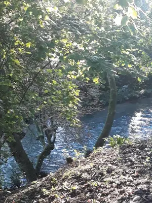 Paysage naturel près de la maison de vacances