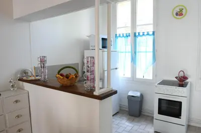 Cuisine ou kitchenette dans l'établissement L'albatros