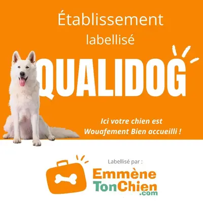 Plan de l'établissement L'albatros