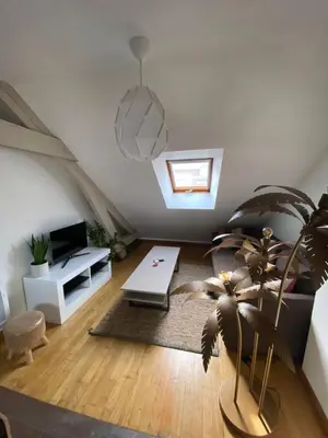 Télévision ou salle de divertissement dans l'établissement Appartement hyper centre cathédrale avec parking gratuit