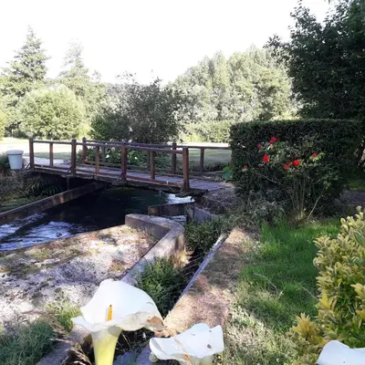 Paysage naturel près de l'appartement
