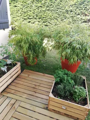 Jardin de l'établissement La Houle, maison