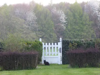 Jardin de l'établissement Orfea s home - maison de charme, cheminée et spa, Lyons-la-Forêt