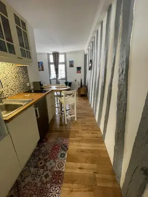 Cuisine ou kitchenette dans l'établissement Charmant T1 Vieux Rouen