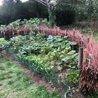 Jardin de l'établissement Cottage les Forières