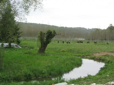 Paysage naturel près de the country house