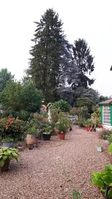 Jardin de l'établissement Le Jardin des Merveilles