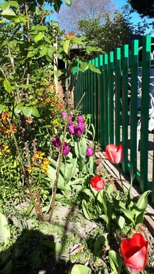 Jardin de l'établissement Le Jardin des Merveilles