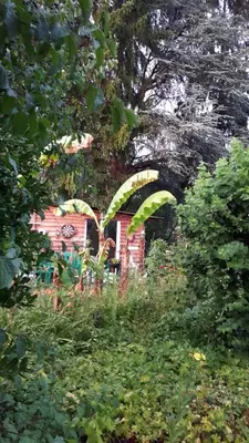 Jardin de l'établissement Le Jardin des Merveilles