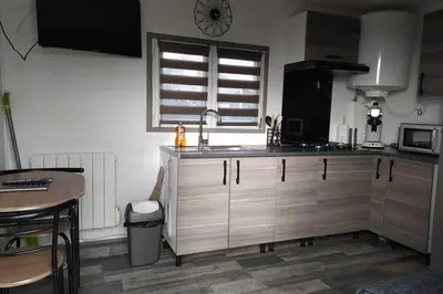 Cuisine ou kitchenette dans l'établissement Tiny house