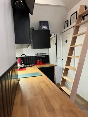 Cuisine ou kitchenette dans l'établissement Studio Louis XIII