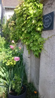Jardin de l'établissement La Maison de Madame Baudy