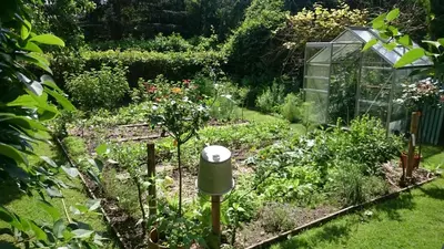 Jardin de l'établissement La Maison de Madame Baudy