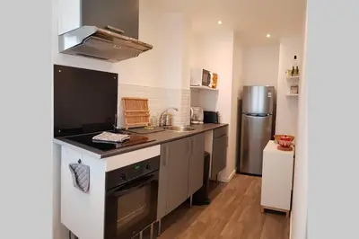 Cuisine ou kitchenette dans l'établissement Appartement cosy proche du CHU