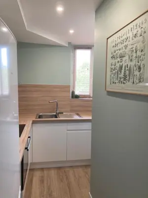Cuisine ou kitchenette dans l'établissement Alex Place's