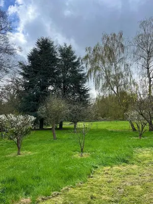 Jardin de l'établissement La petite campagne