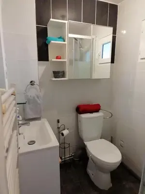 Salle de bains dans l'établissement Charmant appartement indépendant, 5 mn de Rouen, avec terrasse, refait à neuf