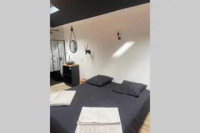 Un ou plusieurs lits dans un hébergement de l'établissement Apt 35 m2 Baignoire Balnéo terrasse privée