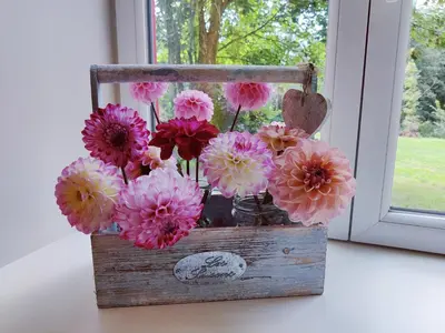 Jardin de l'établissement Uw eigen boerderij bij Le Moulin de la Place