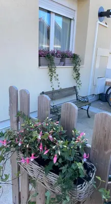 Jardin de l'établissement Chambre julia lits séparés