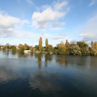 Comme un Poisson dans l'Eau