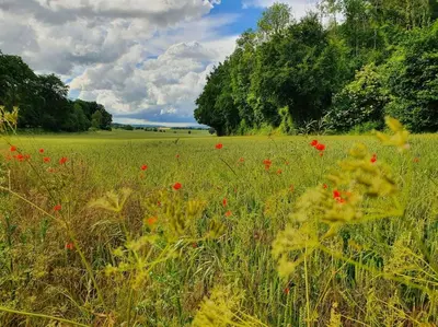 Paysage naturel près de la maison de vacances