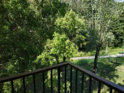 Paysage naturel près de l'appartement