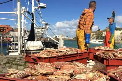 Clients de l'établissement VUE PORT 