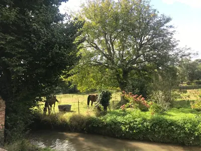 Paysage naturel près de la maison de vacances