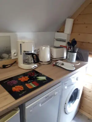 Cuisine ou kitchenette dans l'établissement Gite insolite kota finlandais