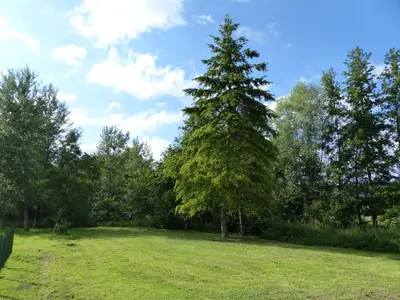 Paysage naturel près de l'appartement
