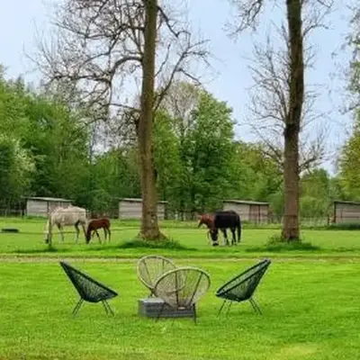 Gite Haras du Bois de Formerie