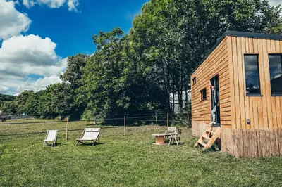 Jardin de l'établissement Tiny House Centre équestre - 35 mins de Paris
