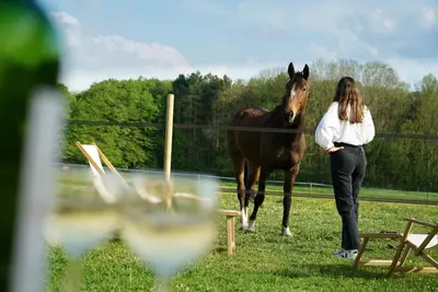 Animaux dans la maison de vacances ou à proximité