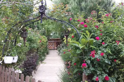 Jardin de l'établissement GITE CHAUVRY 5 lits, non adapté aux PMR