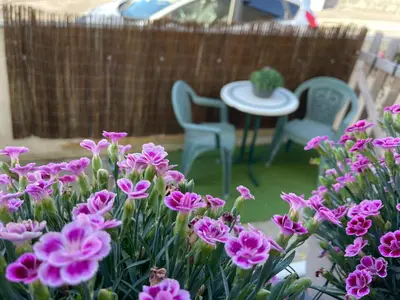 Jardin de l'établissement Chambre celia lits séparés