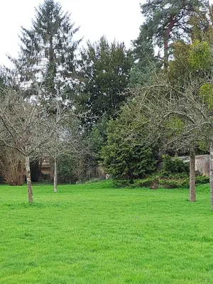 Jardin de l'établissement Le gîte de Vascœuil