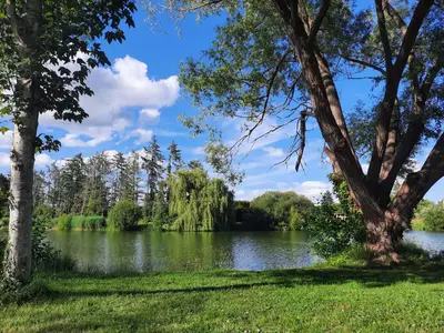 Paysage naturel près de l'appartement